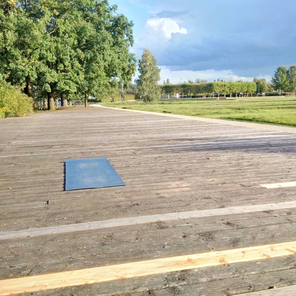 21729008_1295032687286765_5727654963855782132_o